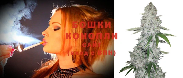 гидра Михайлов