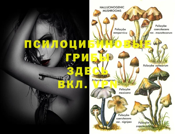 мет Михайловка