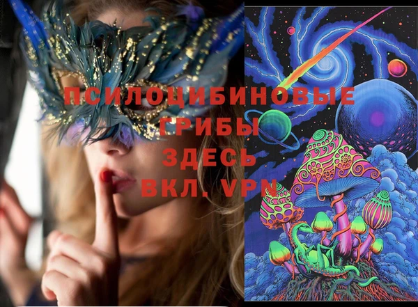 гидра Михайлов
