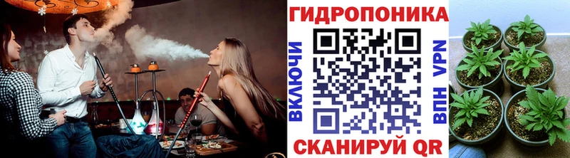 Бошки марихуана марихуана  дарнет шоп  кракен ONION  Черепаново 
